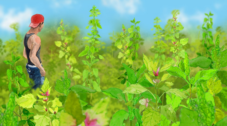 ドキュメンタリー映画 大地が教えてくれたこと~我を光とし豊穣とつながって生きる~